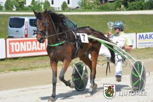 Predsednik Pahor na kasaških dirkah v Ljutomeru 2